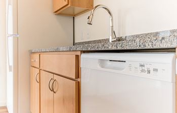 Dishwasher and garbage disposal